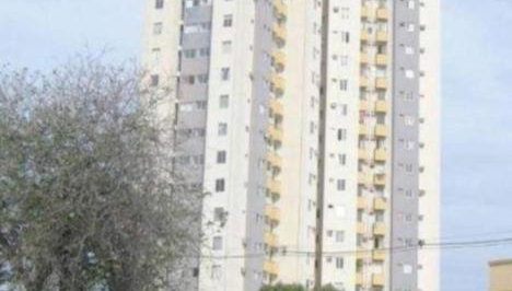 Apartamento compartilhado comigo mais 2 felinos - Foto 1