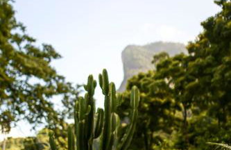 Chalés São João - a 500m da Cachoeira de Bom Jardim - com piscina - Foto 11