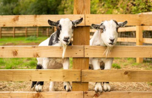 Family Cotswolds Cottage Farm Stay - The Smythy - Foto 52