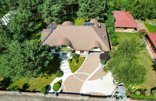 Modra Sikorka - Foto 6