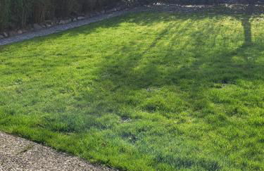 Nurdachhaus Zeltdachhaus Damp - Foto 21