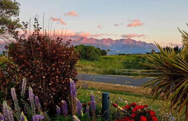 Barnacle Bills - Photo 44