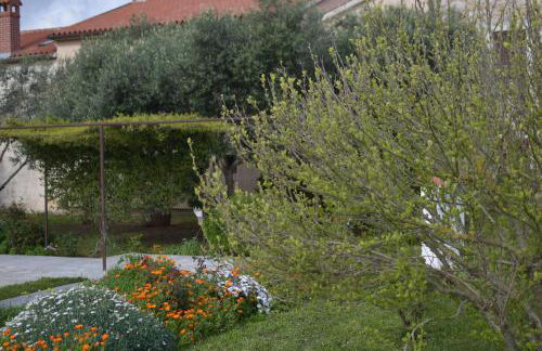 Apartment Ivy - Foto 41