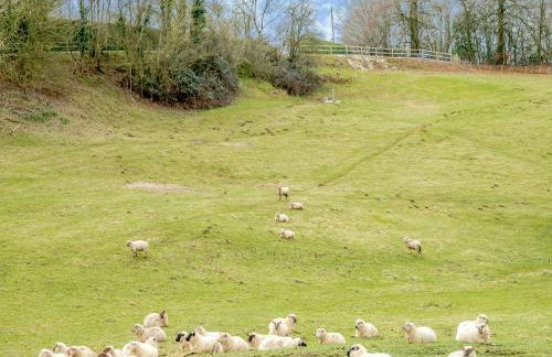 Dairy Cottage-Ukc5158 - Foto 23