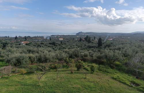 Blue & Green - Foto 38