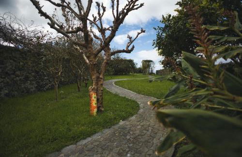 Azores Awaits - Photo 5