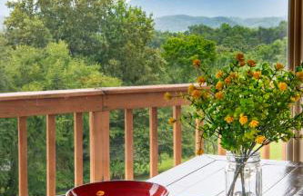 Smoky Mountain Excellence By Avada Properties - Foto 26