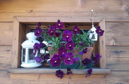 Residence Fior di Roccia - Foto 8