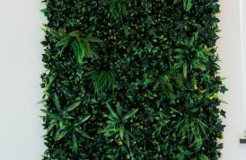 Pokoje Na Winklu - Foto 31