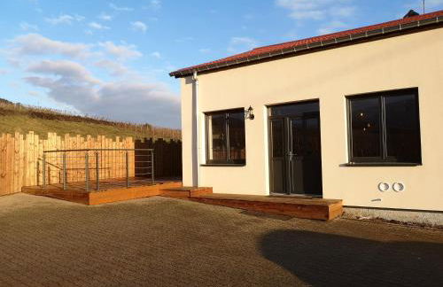 Cocon de caractère au cœur des vignes Alsaciennes - Foto 19