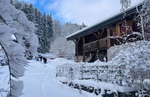 Le Chalet de Bémont - Foto 22