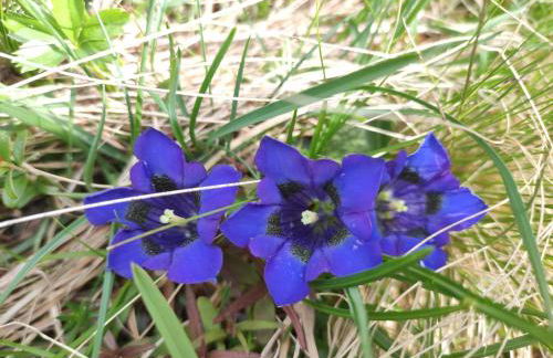 Agritur Belsogno B&B - Foto 42