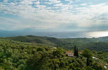 Zelis In Pelion Greece - Foto 49