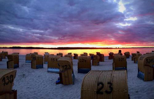 Fördekoje - Foto 24