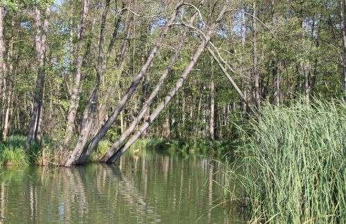 Ferienwohnung Strey - Foto 14