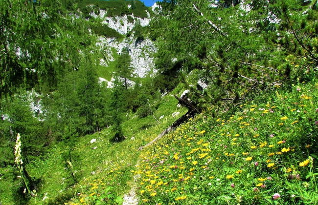 Pool Villa Katja Kranjska Gora - Foto 34