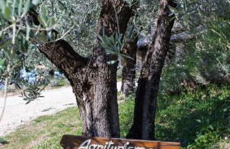 Agriturismo Le Vigne - Foto 26