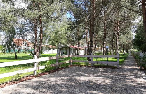 Osada Wejsuny - Foto 17