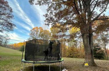 Home in the Heart of W.V. Adventure Country! - Photo 45