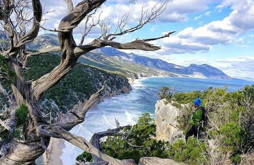 Near The Sea - Foto 45