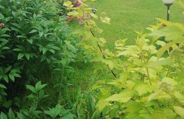 Całoroczny Domek Góry Bieszczady - Foto 18