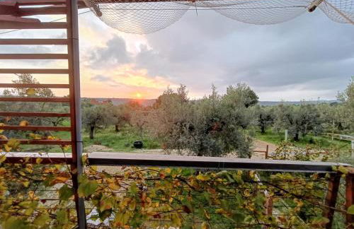 La Casa tra gli Ulivi - Cottage in legno - Foto 21