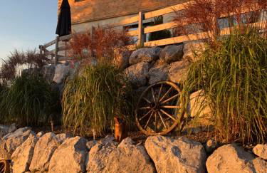 Linda‘s Ferien-Pferdehof - Foto 18