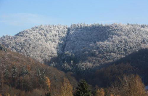 FeWo Harz Haennig 2 - Foto 37