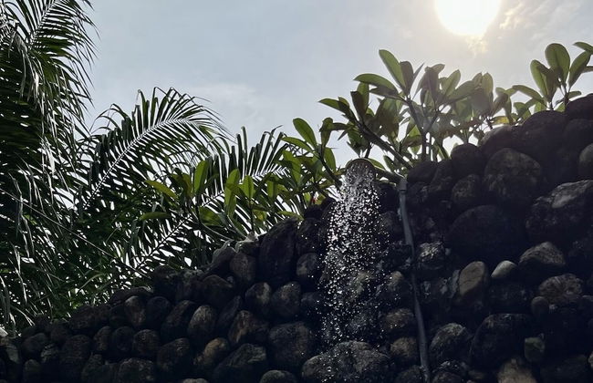 Sahom Valley Resort - Agro & Eco - Foto 22