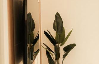 Doryana Luxury - Foto 21