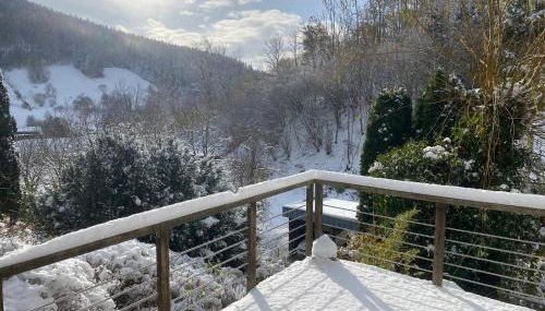 Ferienhaus Le Bain du Corbeau - inklusive Gratis-Eintritt zu 80 touristischen Highlights im Schwarzwald - Foto 5