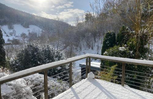 Ferienhaus Le Bain du Corbeau - inklusive Gratis-Eintritt zu 80 touristischen Highlights im Schwarzwald - Foto 5