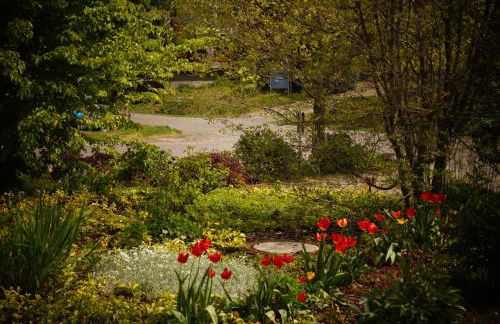 Ferienwohnung Ilsebill - Foto 9