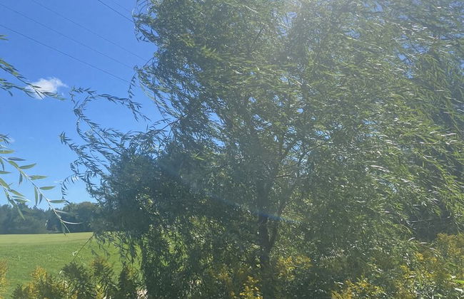 Dreamers Writing Farm - Foto 67