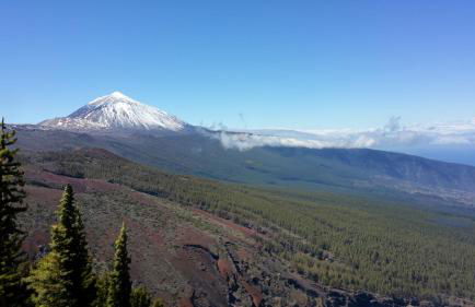 Santa Cruz City Center Acogedor Ático con vistas - Foto 21