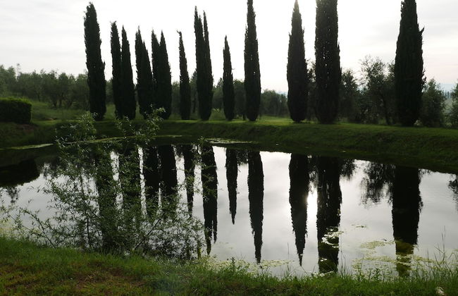 Ca' Bianca Tuscany Relais - Foto 45