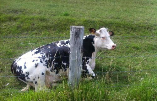 Gîte Insolite Les Tonneaux Sa vue Magnifique et Panoramique - Foto 23