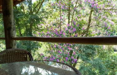 Chácara das Araucárias - Foto 42