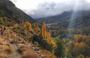 Vista Mezquita - Foto 29