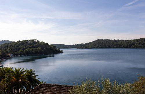 Pansion Mali Raj - Photo 66