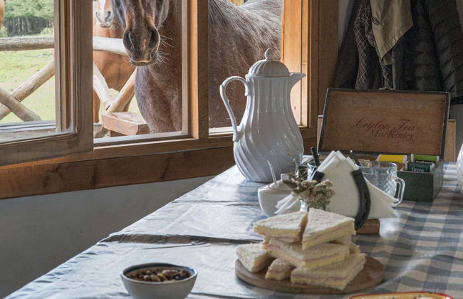 Passeio de cavalo pelo lago Escondido - Photo 5