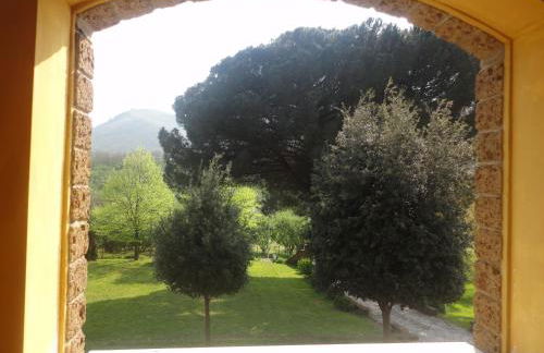 Tenuta Montelaura - Foto 75