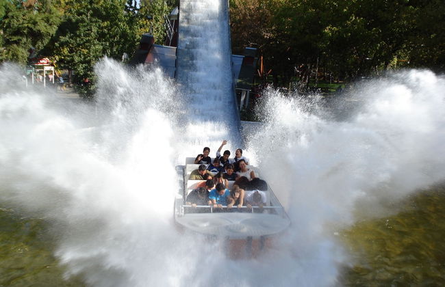 Park Plaza Apart Hotel - Photo 36