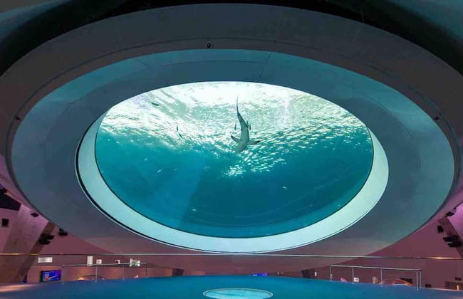 Fresh Modern With Pool Oasis - Foto 30