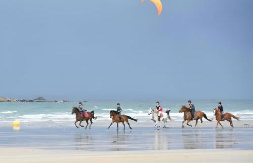 Maison de vacances Plouharnel 3star - Foto 42