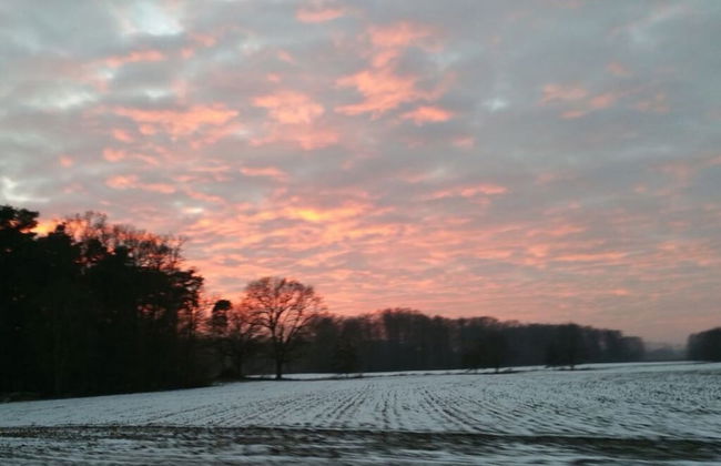 Classy Apartment in Ferchesar - Foto 13