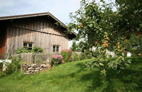 Landhaus Berktold - Photo 34