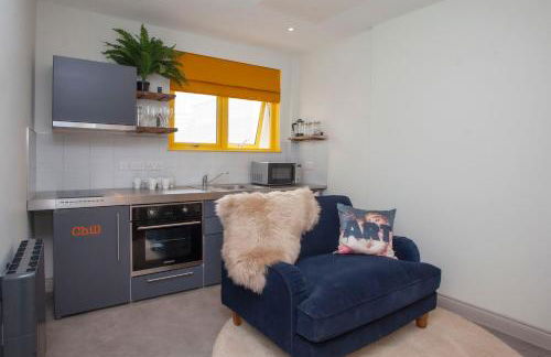 Stylish Snug Aparthotel by Principality Stadium - Foto 1