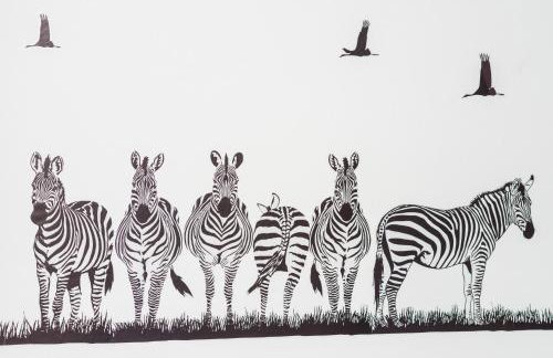 Apartments Donita - Foto 56