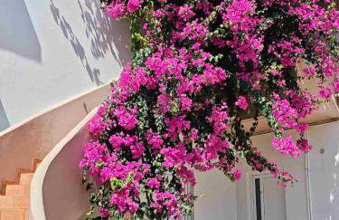 Yannis Apartments - Photo 1
